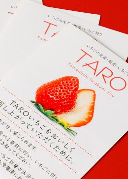 二つ折りリーフレット TARO