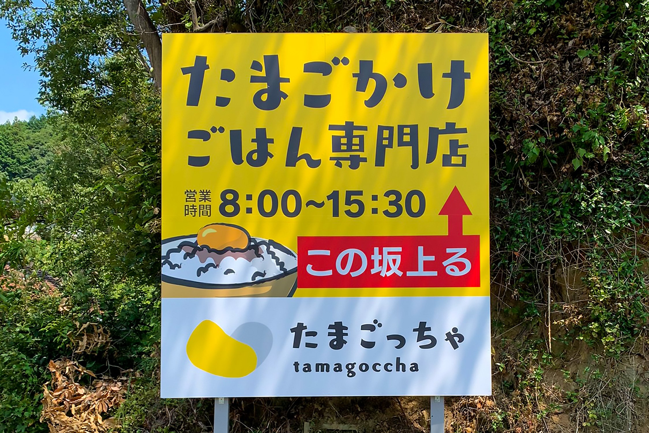 看板 たまごっちゃ